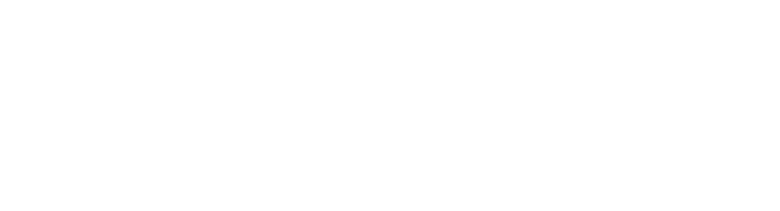 2crsi logo in white